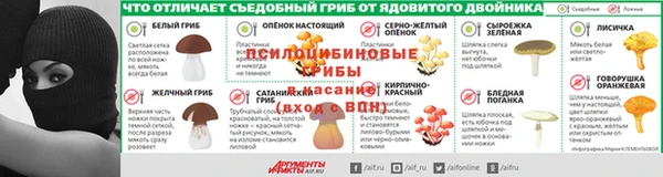 сатива Алзамай