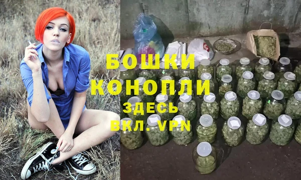 ешки Алексеевка