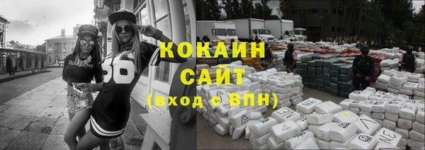сатива Алзамай