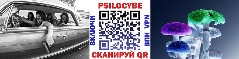 купить наркотик  Наволоки  Псилоцибиновые грибы Psilocybine cubensis 